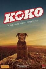 Watch Koko: A Red Dog Story Solarmovie