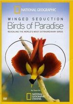 Watch Winged Seduction: Birds of Paradise Solarmovie