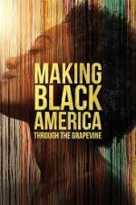 Watch Making Black America: Through the Grapevine Solarmovie