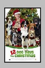 Watch 12 Dog Days Till Christmas Solarmovie