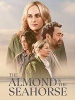 Watch The Almond and the Seahorse Solarmovie