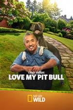 Watch Cesar Millan: Love My Pit Bull Solarmovie