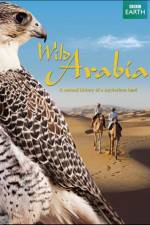 Watch Wild Arabia Solarmovie