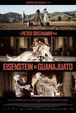 Watch Eisenstein in Guanajuato Solarmovie