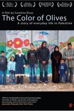Watch The Color of Olives Solarmovie