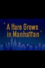 Watch A Hare Grows in Manhattan Solarmovie
