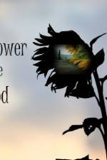 Watch The Sunflower and the Sun God Solarmovie