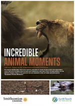 Watch Incredible Animal Moments Solarmovie
