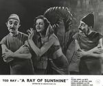 Watch A Ray of Sunshine: An Irresponsible Medley of Song and Dance Solarmovie