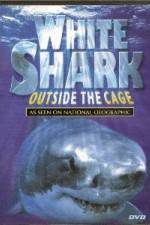 Watch National Geographic white shark:outside the cage Solarmovie