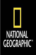 Watch National Geographic Wild Sharks Of Pirate Island Solarmovie