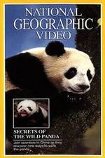 Watch Secrets of the Wild Panda Solarmovie
