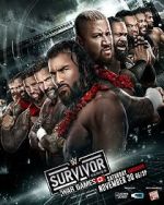 Watch WWE Survivor Series WarGames (TV Special 2024) Solarmovie