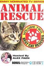 Watch Animal Rescue, Volume 2: Best Cat Rescues Solarmovie