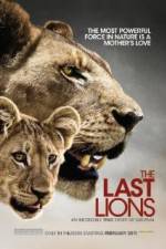 Watch The Last Lions Solarmovie