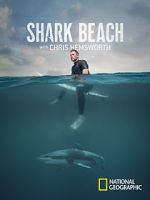 Watch Shark Beach with Chris Hemsworth (TV Special 2021) Solarmovie