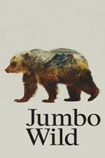 Watch Jumbo Wild Solarmovie