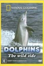 Watch Dolphins: The Wild Side Solarmovie