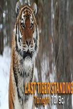 Watch Discovery Channel-Last Tiger Standing Solarmovie