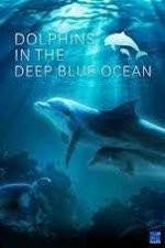 Watch Dolphins in the Deep Blue Ocean Solarmovie