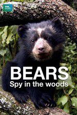 Watch Bears: Spy in the Woods Solarmovie