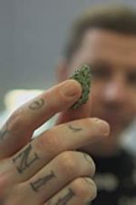 Watch Professor Green: Is It Time to Legalise Weed? Solarmovie