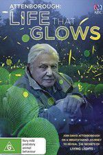 Watch Attenborough\'s Life That Glows Solarmovie