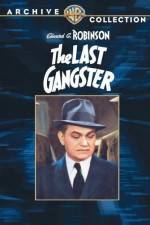 Watch The Last Gangster Solarmovie