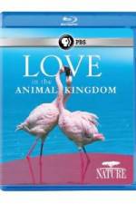 Watch Nature: Love in the Animal Kingdom Solarmovie