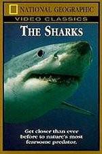 Watch National Geographic The Sharks Solarmovie
