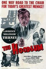Watch The Hoodlum Solarmovie