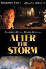 Watch After the Storm Solarmovie