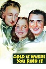 Watch Gold Is Where You Find It Solarmovie