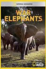 Watch War Elephants Solarmovie
