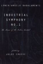Watch Industrial Symphony No 1 The Dream of the Brokenhearted Solarmovie