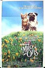 Watch Milo and Otis Solarmovie