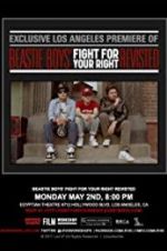 Watch Beastie Boys: Fight for Your Right Revisited Solarmovie
