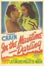 Watch In the Meantime Darling Solarmovie