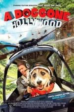 Watch A Doggone Hollywood Solarmovie