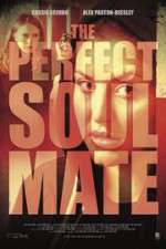 Watch The Perfect Soulmate Solarmovie