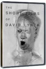 Watch The Short Films of David Lynch Solarmovie