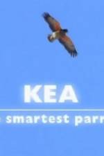Watch Kea - The Smartest Parrot Solarmovie