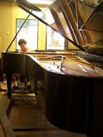 Watch Note by Note: The Making of Steinway L1037 Solarmovie