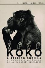 Watch Koko, le gorille qui parle Solarmovie