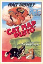 Watch Cat Nap Pluto Solarmovie