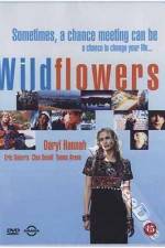 Watch Wildflowers Solarmovie