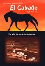 Watch El Caballo: The Wild Horses of North America Solarmovie