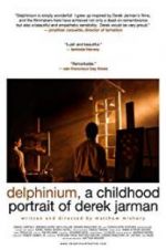 Watch Delphinium: A Childhood Portrait of Derek Jarman Solarmovie