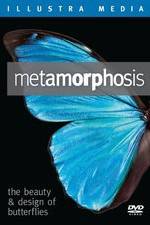 Watch Metamorphosis: The Beauty and Design of Butterflies Solarmovie