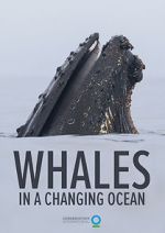 Watch Whales in a Changing Ocean (Short 2021) Solarmovie